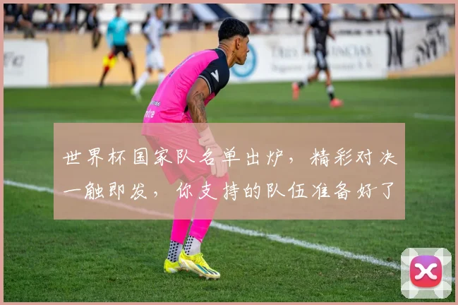 世界杯国家队名单出炉，精彩对决一触即发，你支持的队伍准备好了吗